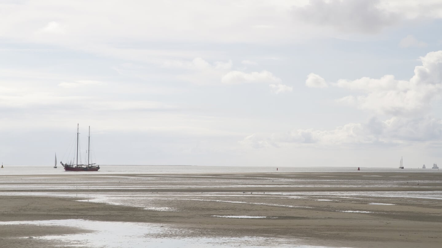 De mens moet niet denken dat hij boven de rest van de schepping verheven is. Het denken in rechten van bijvoorbeeld natuurgebieden als de Waddenzee heeft dan ook een enorme vlucht genomen.