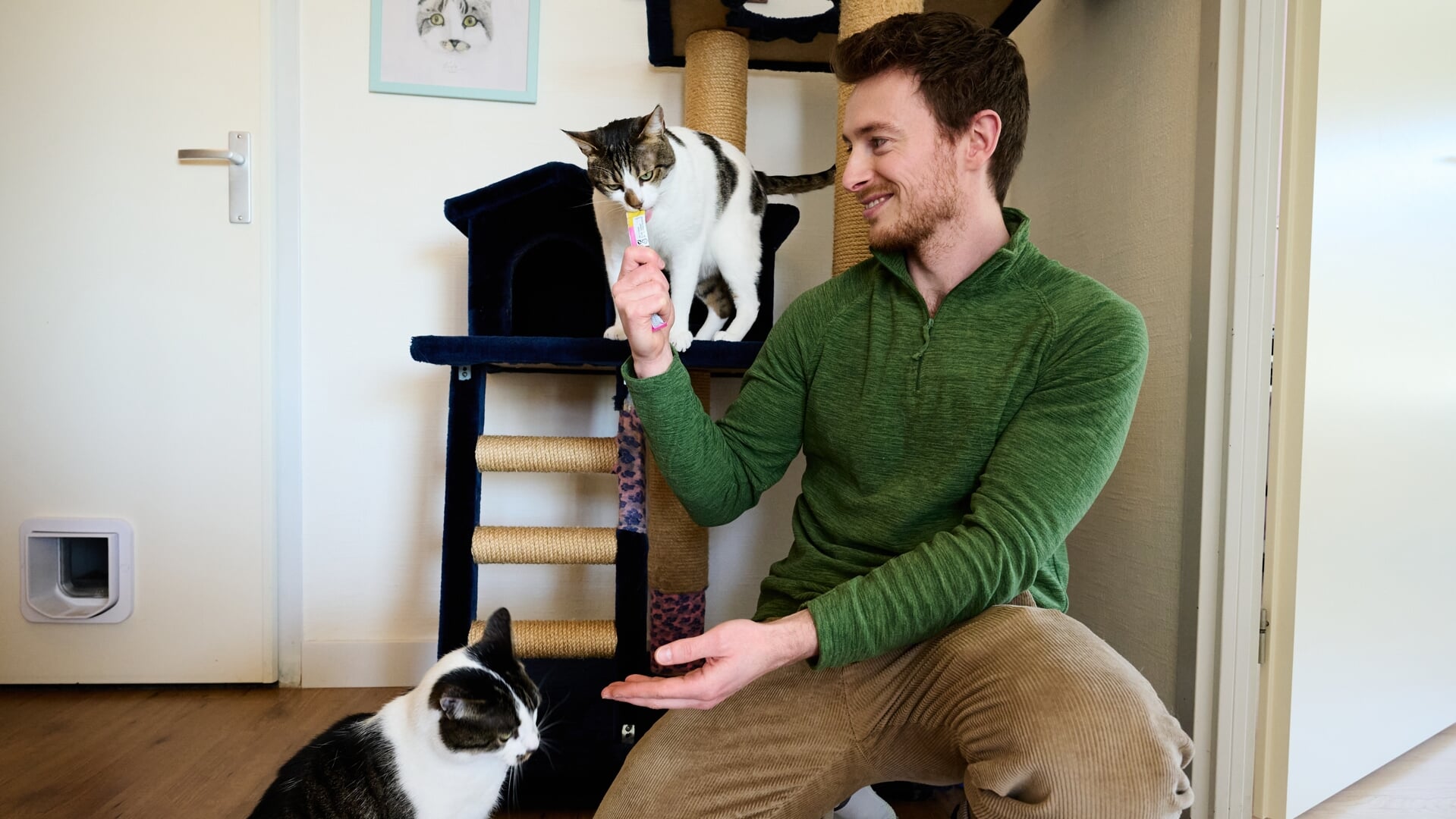 Rob Vermeer houdt thuis een aantal asielkatten. 'We hebben wel zes krabpalen en je struikelt over de speeltjes voor de dieren.'
