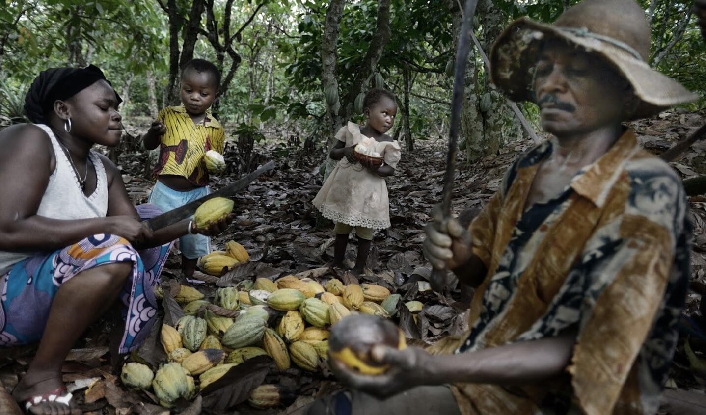 Boeren krijgen onvoldoende geld voor hun cacaobonen om te kunnen investeren in duurzamere teelt. Ook is daardoor de hulp van kinderen nodig om rond te komen.