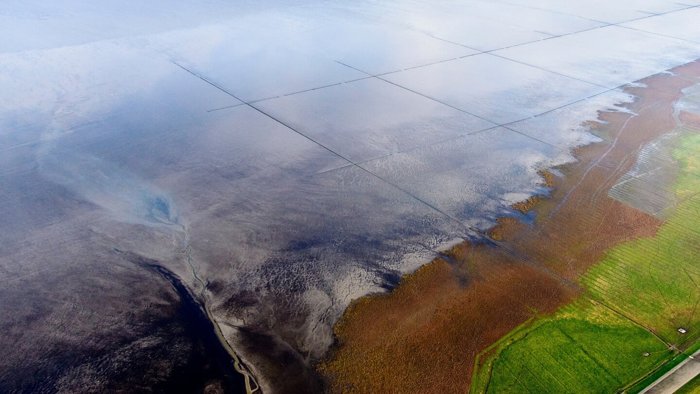 Het kwelderlandschap Noorderleeg.