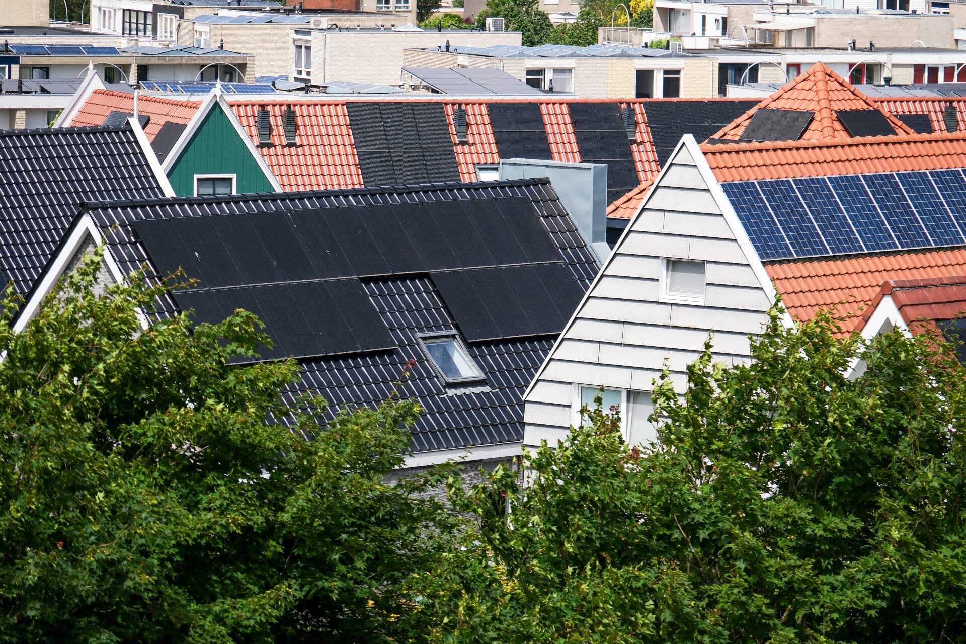 Zonnecollectoren op nieuwbouwwoningen in de woonwijk De Zaanse Eilanden. Bewoners mochten op de kavels zelf woningen bouwen. 