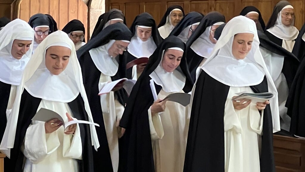 De Dominicanessen van de Heilige Geest is een traditionalistische kloostergemeenschap in West-Frankrijk. Paus Franciscus zette de Moeder Overste af na klachten uit de gemeenschap, maar deze vond steun bij de Franse rechter.
