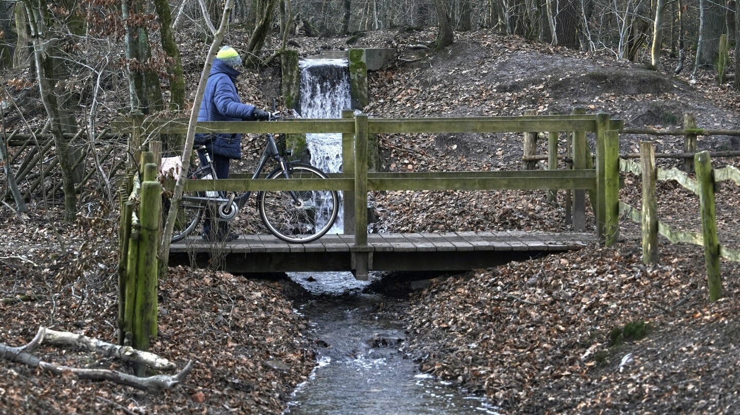 Afgelopen winter stroomde er door alle regenval veel water in de Gravinnenbeek in Eerbeek. 