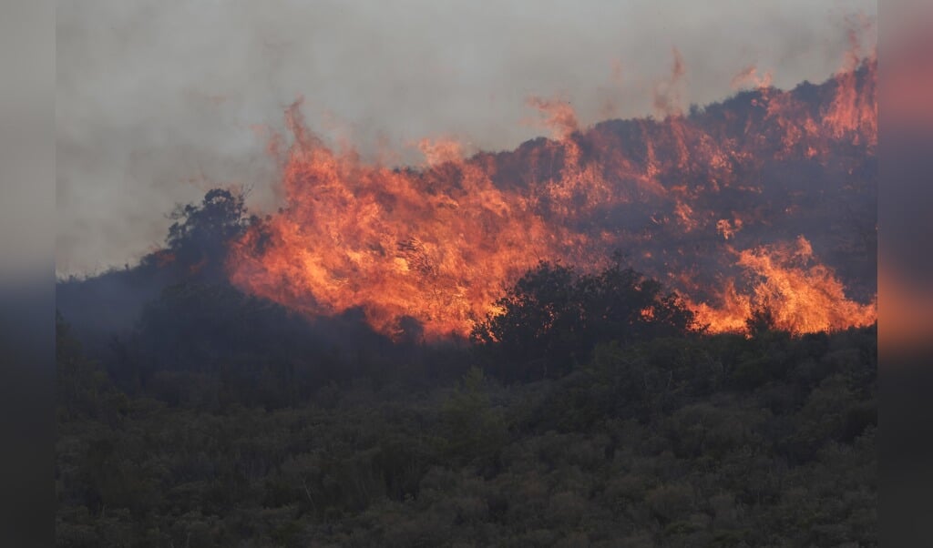 Bosbrand op het Griekse eiland Rhodos in juli 2023.