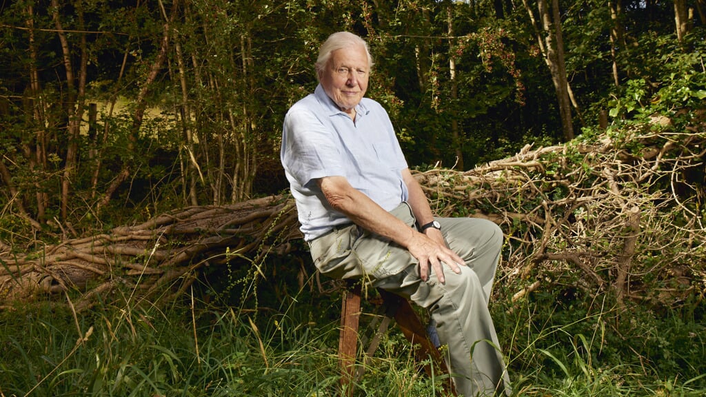 David Attenborough begon niet voor, maar achter de camera. Zijn leidinggevende vond zijn gebit niet mooi genoeg voor tv.