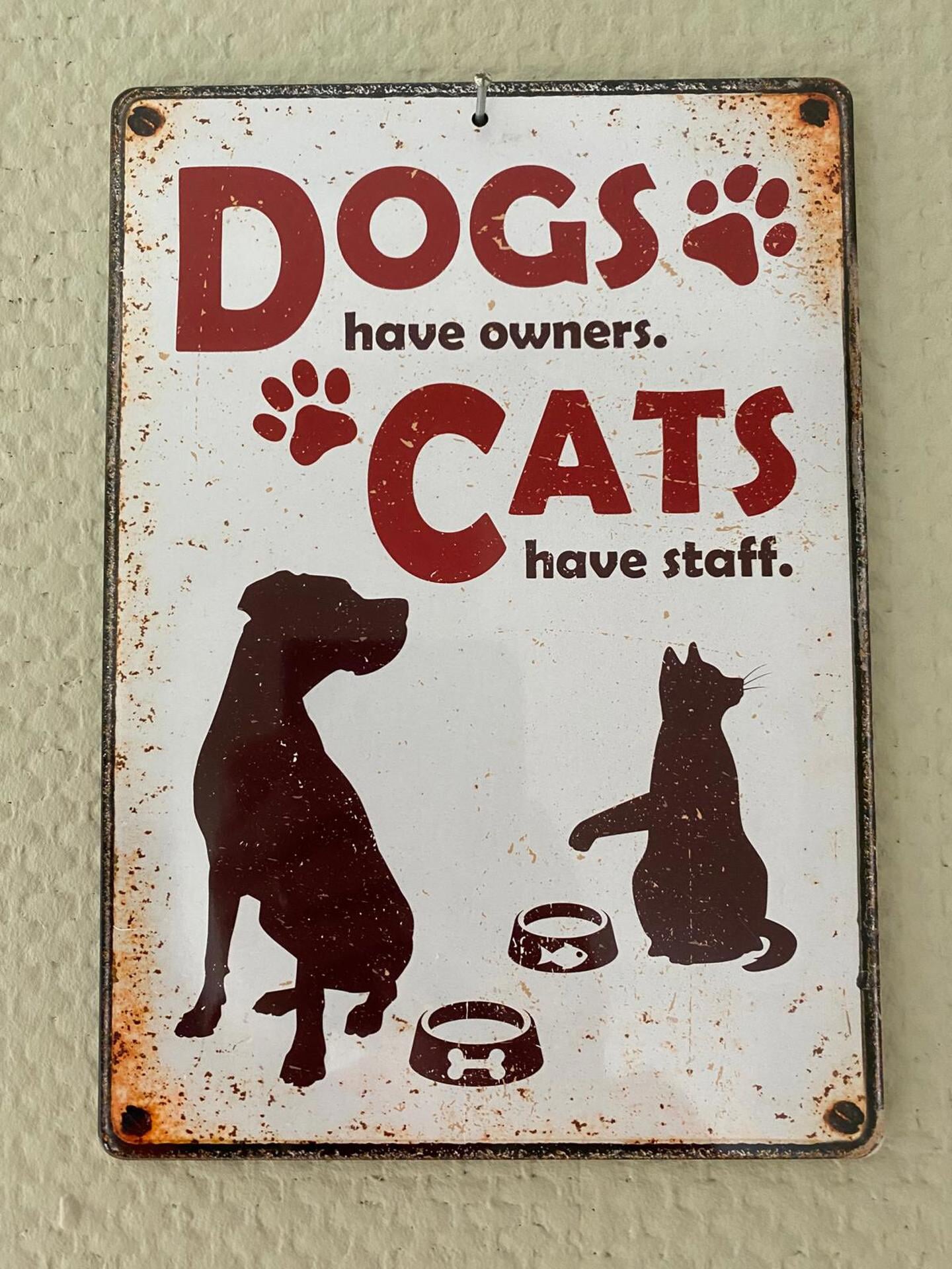 'Honden hebben baasjes, katten personeel.'
