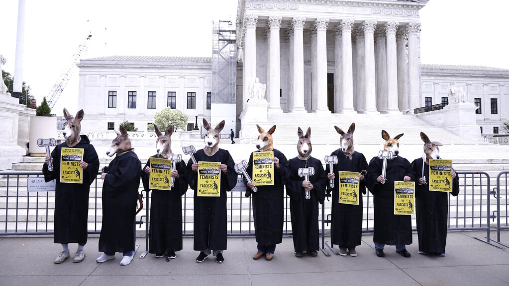 Een constitutioneel hof dat toetst aan de Grondwet wordt óók een bron van wetgeving, gemaakt door personen die niet periodiek ter verantwoording kunnen worden geroepen. Foto: demonstranten bij het Hooggerechtshof in de VS.