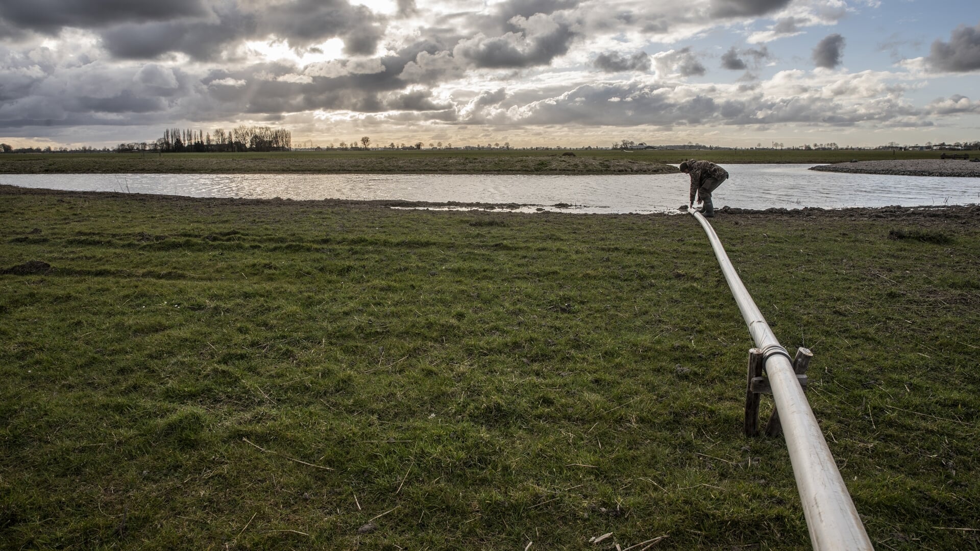 Midden in het weiland van Reijer den Hartog ligt een poel met twee schelpeneilanden.