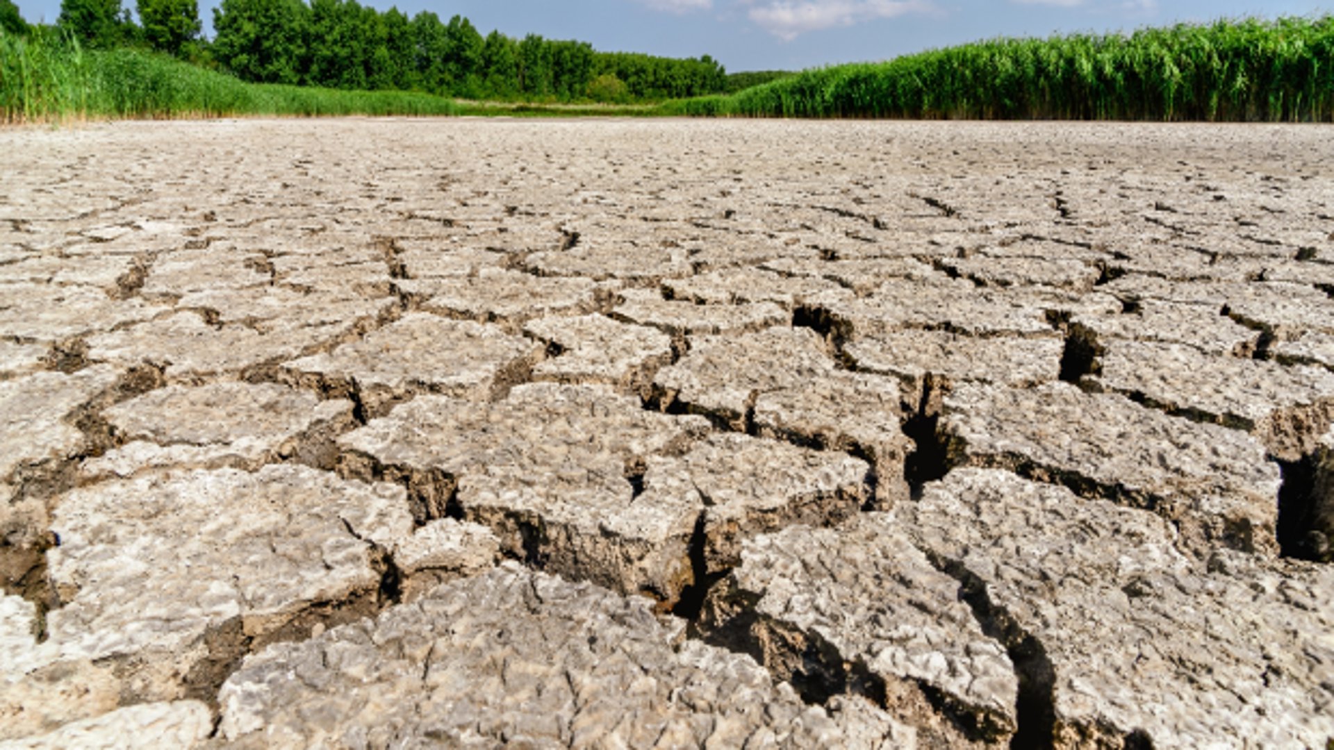 Droogte in Nederland. 'Juist het benoemen van schuld en het blootleggen van schaamte zijn heilzaam en leiden tot een diepere verandering.’