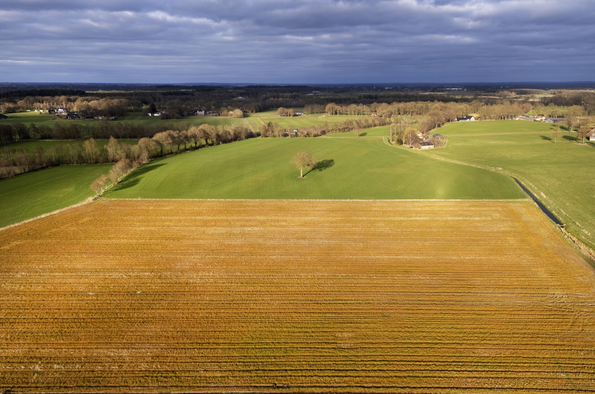 Een akker is geel gekleurd door het gebruik van bestrijdingsmiddelen met glyfosaat. De pesticide gaat ongewilde plantengroei tegen.