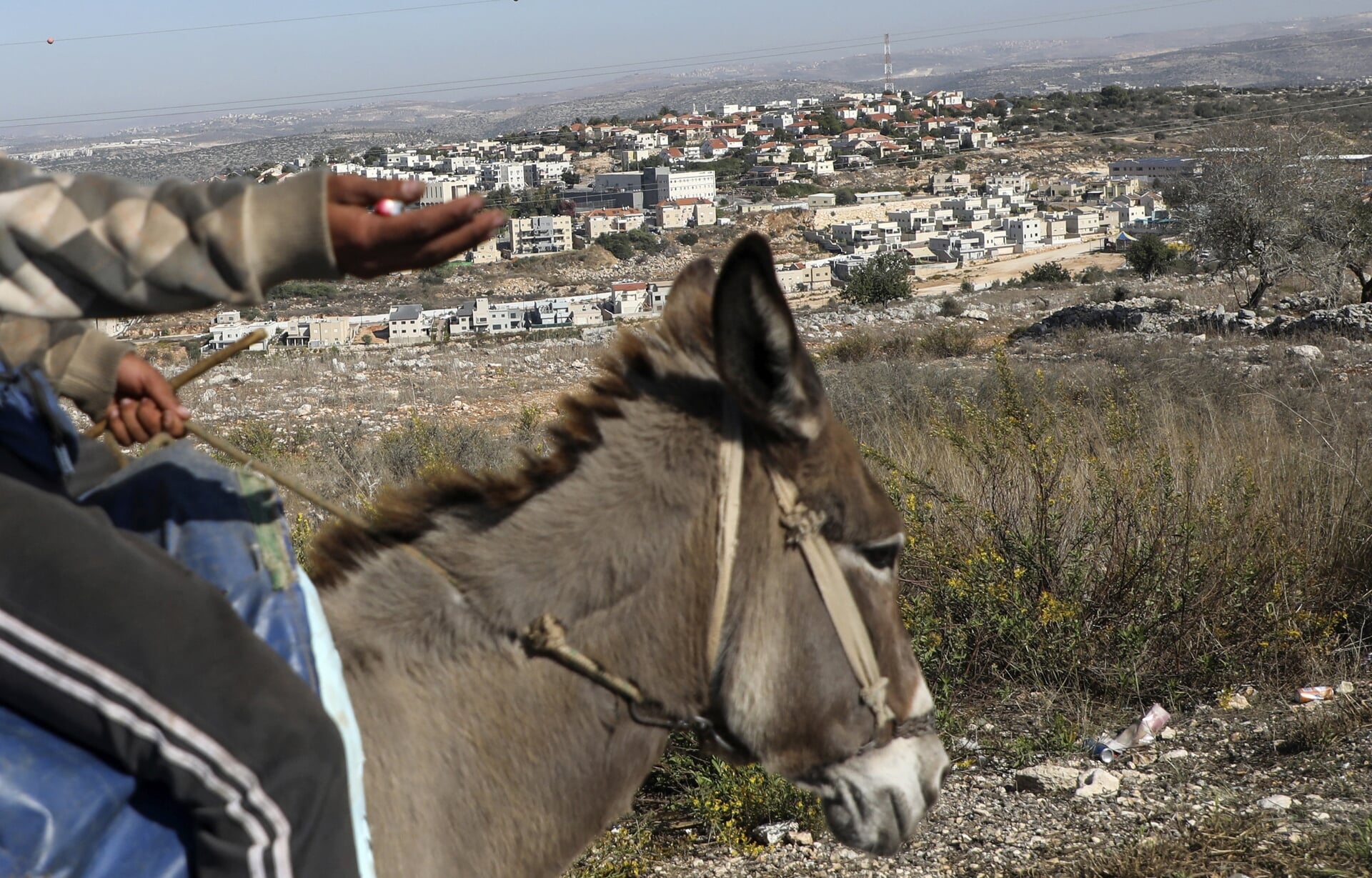 Een man passeert met zijn ezel de Israëlische nederzetting Revava (op de achtergrond). De foto is van 19 november 2019.