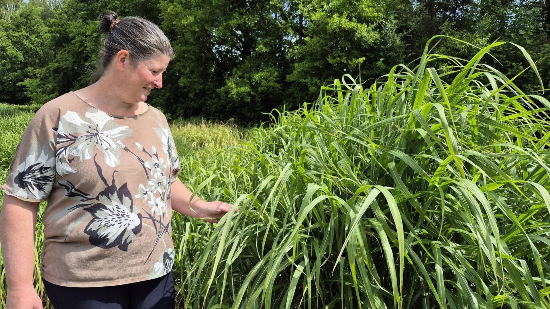 Mariska Weemaes gaat met haar hand automatisch door de siergrassen. 'Zomers is het voor kinderen hier echt een doolhof tussen het hoge gras.'