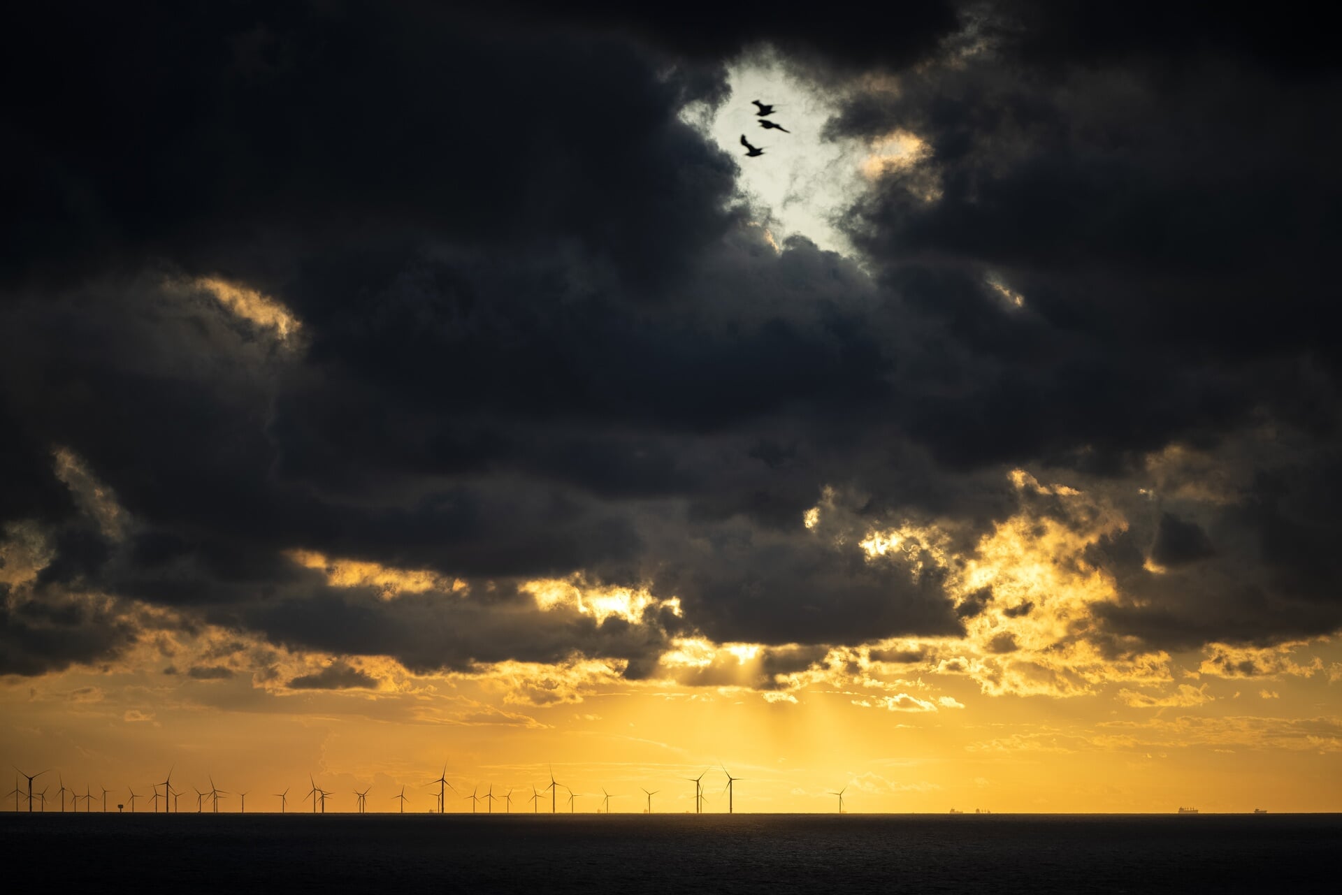 Windmolens in de Noordzee, gezien vanaf de kust bij Zandvoort.