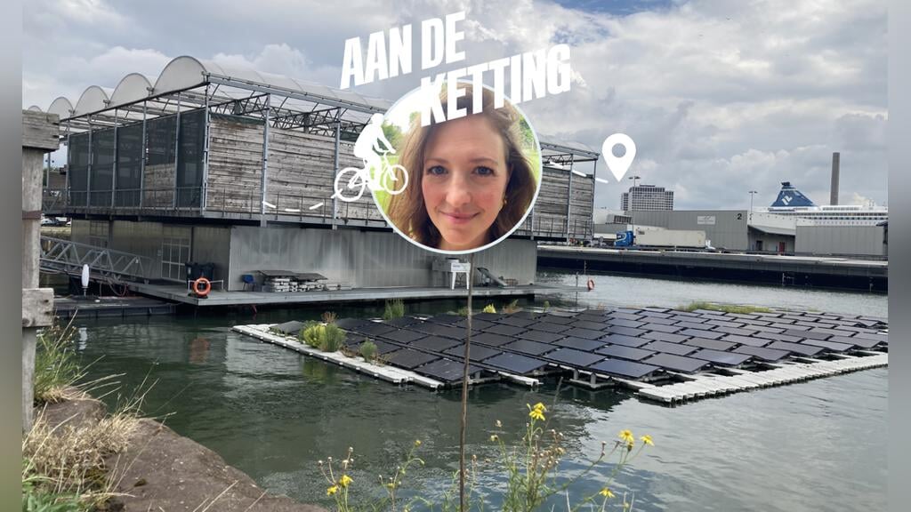 In Rotterdam ligt een circulaire, drijvende boerderij, waar de koeien leven van de reststromen uit de stad.