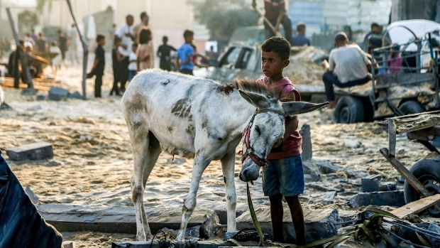 VN-rapporteur martelingen waarschuwt voor honger in Gaza