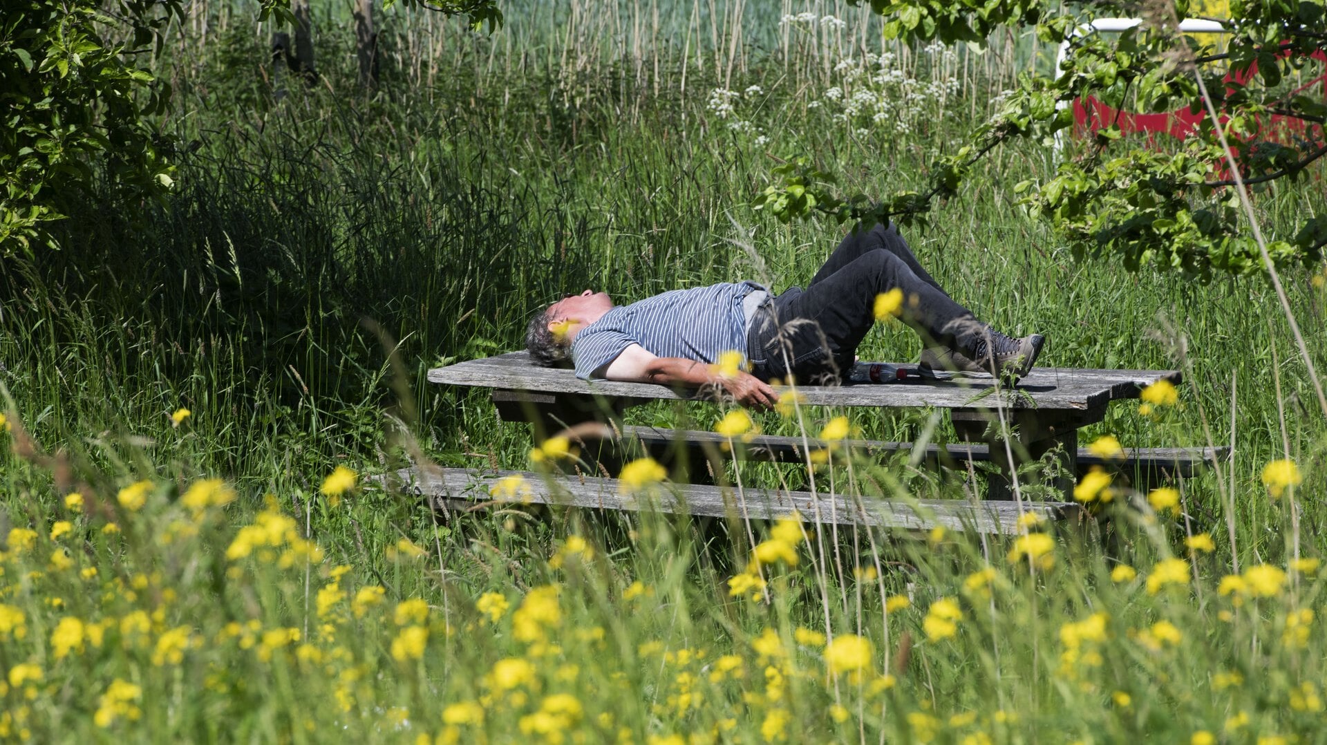 'Regelmatig even pauzeren op een bankje of picknickkleed. Luisteren naar de vogels.'