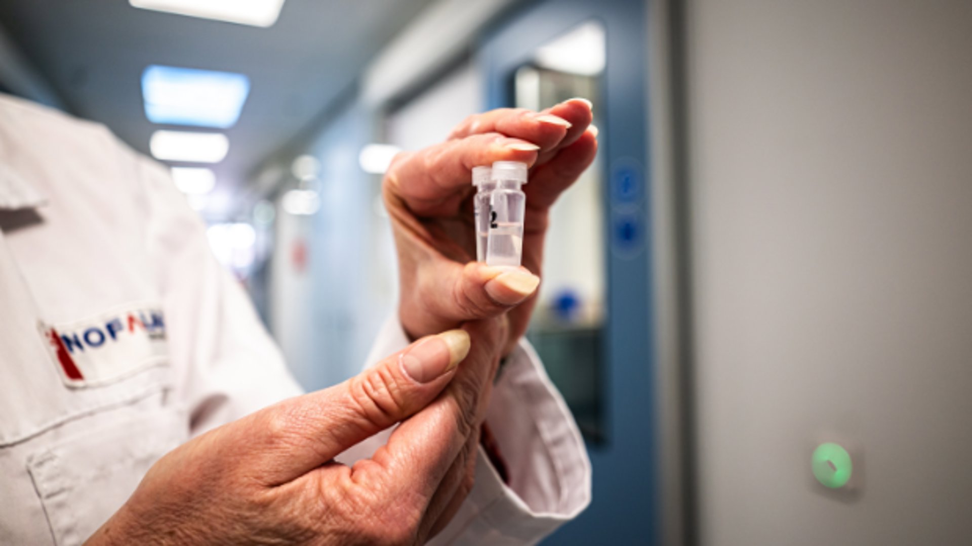 In een laboratorium in Schiedam worden eieren getest op pfas. Eieren van hobbykippen kunnen in sommige gevallen veel pfas bevatten