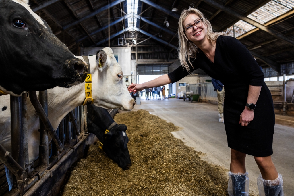 In het politieke opvanghuis dat BBB heet is ook een plek voor de lobbyist van de veetransporteurs