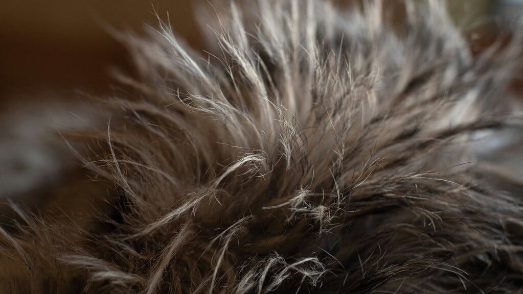 fur2