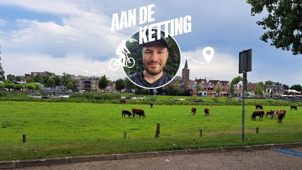 In Hardenberg kromp het CDA naar een dieptepunt, maar nu zitten ze in de lift.