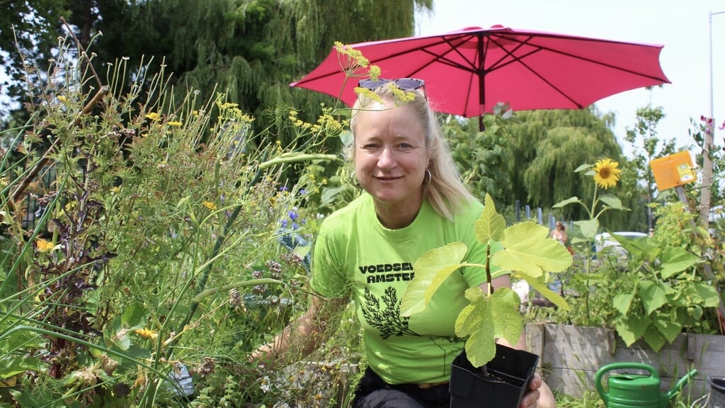 Iris Poels van De Eetbare Stoep: 'Ik probeer hier zo ecologisch mogelijk te tuinieren. Maar écht ecologisch tuinieren bestaat eigenlijk niet. Zodra je gaat tuinieren, ben je de natuur al aan het vormen naar je eigen ideeën.'