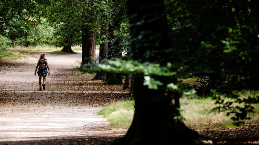 Een toegangspad in landgoed Den Treek. Mensen blijven massaal weg uit bos- en natuurgebieden in de Utrechtse Heuvelrug door wolf Bram.