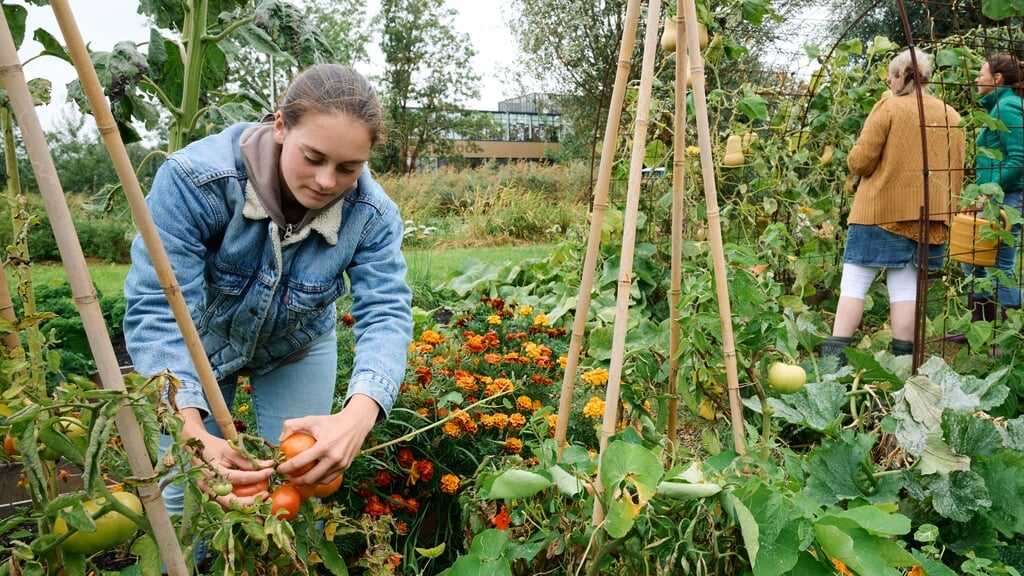 ‘Ik dank God regelmatig als ik zie dat iets gegroeid is', zegt Emma. ‘Dat wil ik graag delen.’ 
