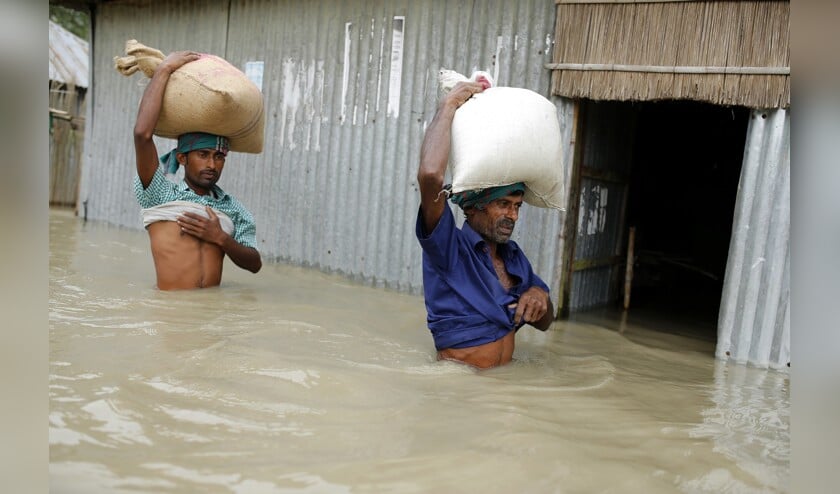 Slachtoffers van overstromingen die een derde van Bangladesh onder water zetten, waden met rijstzakken door het water om in hun onder water gelopen huizen te komen. (epa / Abir Abdullah)