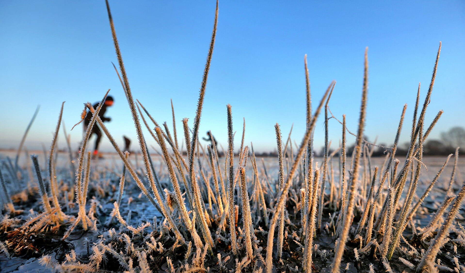 Op de schaats in de Rypsjerksterpolder. Vanaf vrijdag kan het ijs aangroeien tot zo’n tien centimeter dik.