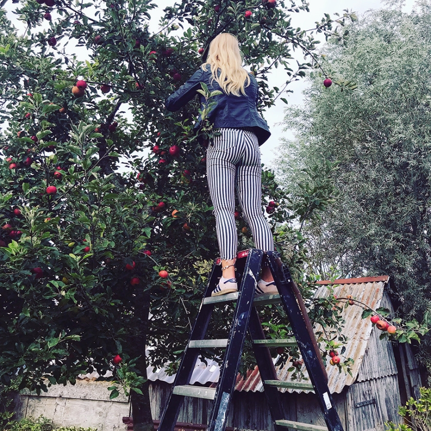 Instagram: appeloogst op de Steinhoeve (Yolanda van Beek-Snel)