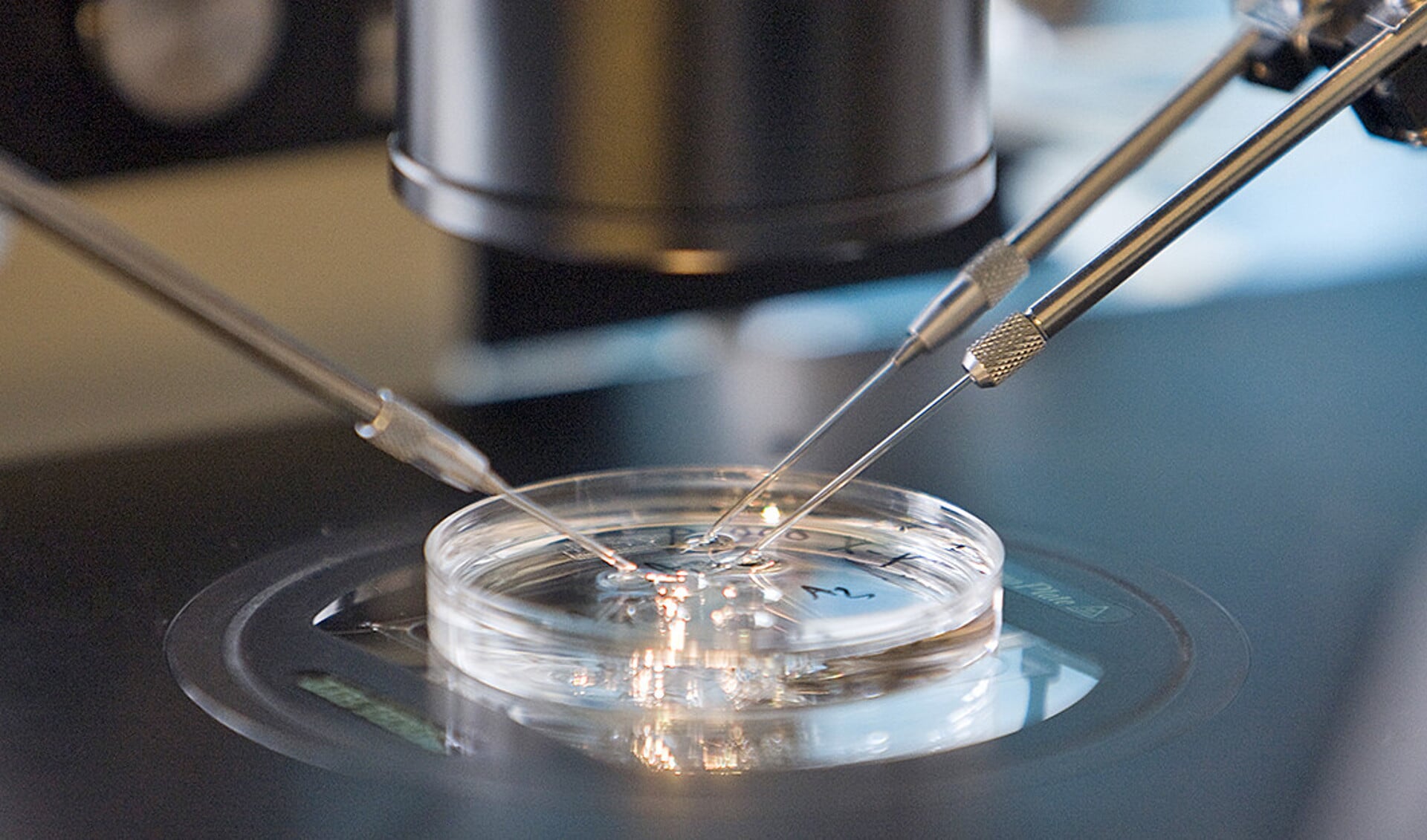 Een ziekenhuismedewerker selecteert embryo’s voor een ivf-behandeling. Straks worden mogelijk embryo’s speciaal gekweekt voor onderzoek.
