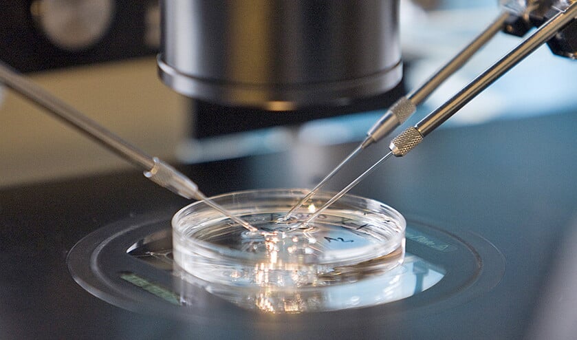 Een ziekenhuismedewerker selecteert embryo’s voor een ivf-behandeling. Straks worden mogelijk embryo’s speciaal gekweekt voor onderzoek. (anp / Lex van Lieshout)
