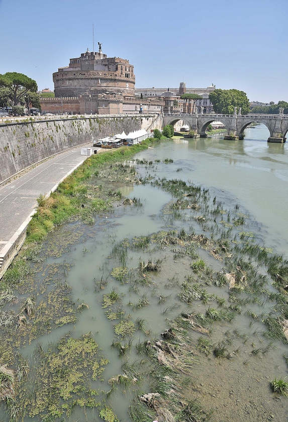 Door onder meer droogte en hitte is het waterpeil in de rivier de Tiber in Rome momenteel bijzonder laag. (ap / Giorgio Onorati)
