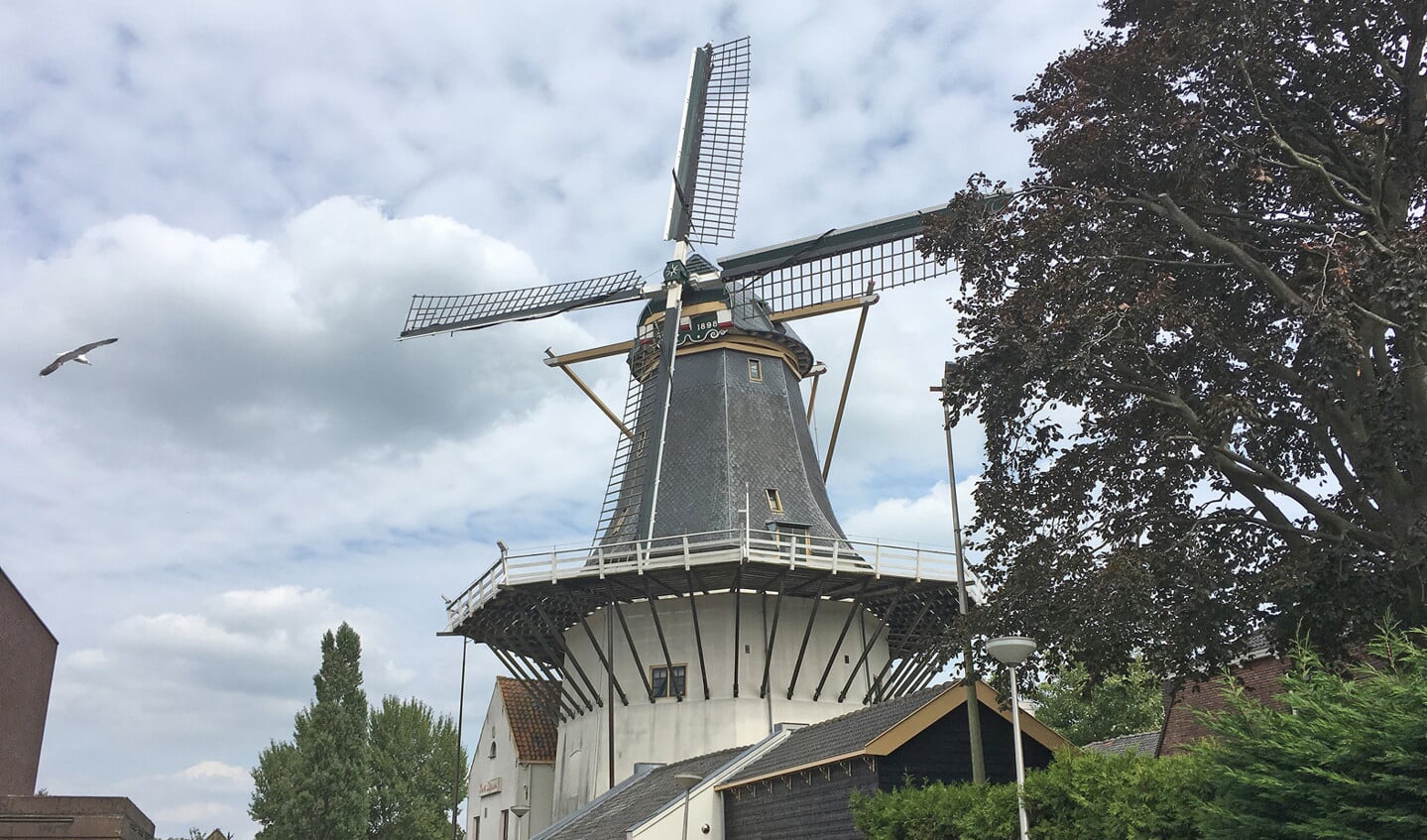Het aantal molens tussen Schoonhoven en Gouda is opvallend. Meer dan vijftien oer-Hollandse molens staan er langs deze route.