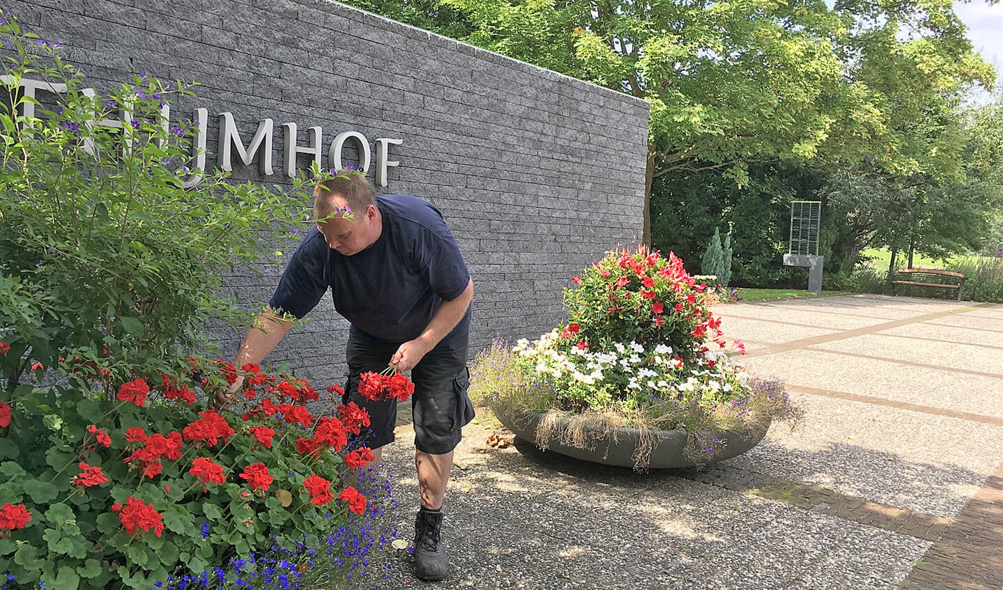 Wessel van der Vaart trekt wat verwelkte bloemen uit de bloembakken bij de ingang van Thijmhof. ‘Voor nabestaanden moet deze plek een fijne plek zijn.’