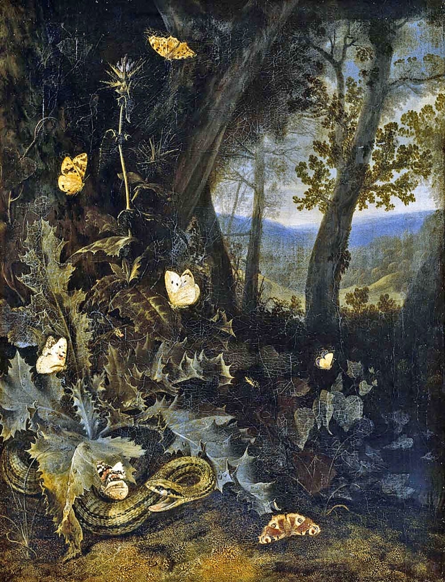 Marseus van Schrieck richtte zijn blik naar onooglijke dieren. (nd)