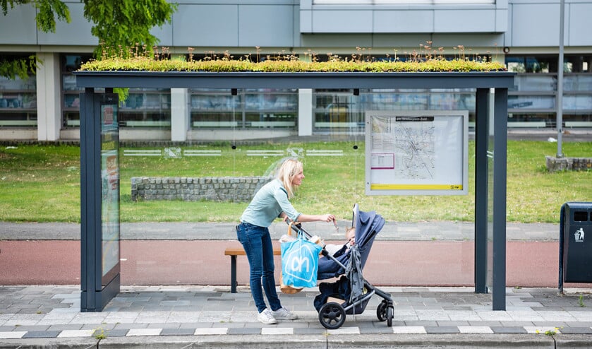 De bushalte 24 Oktoberplein-Zuid in Utrecht. Het groene dak vangt fijnstof af, is goed voor insecten en houdt regenwater vast. (Katja Poelwijk)