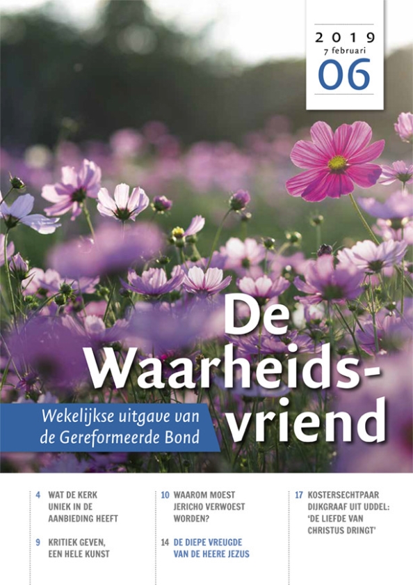 Blogs en bladen: de moraal van De Luizenmoeder