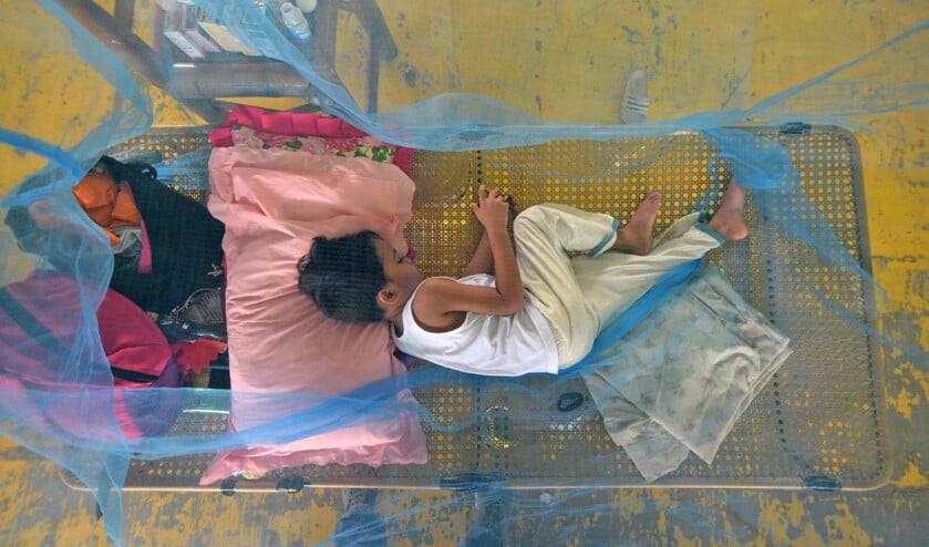 In de Filipijnen zijn al 491 mensen aan dengue overleden, vooral kinderen. (epa / Leo Solinap, Narong Sangnak en afp / Orlando Sierra)