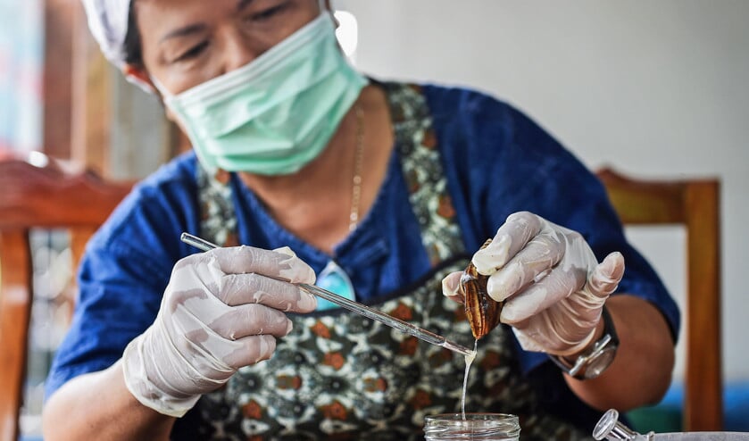 Phatinisiri Thangkeaw runt een slakkenkwekerij in Thailand. Ze verzamelt slakkenslijm, waarvan gezichtsverzorgingsproducten worden gemaakt. (afp / Lillian Suwanrumpha)