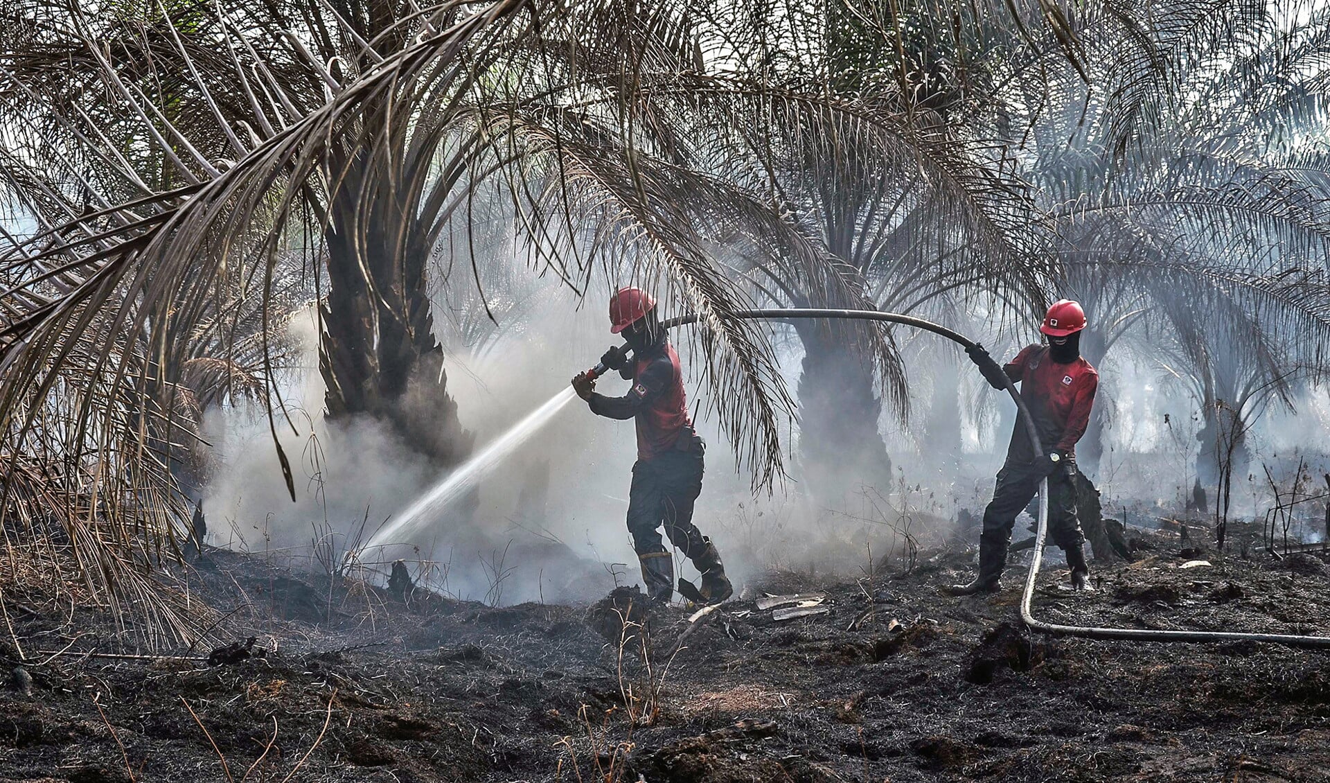 Brandweerlieden bestrijden een veenbrand op een palmolieplantage in Pekanbaru, op het Indonesische eiland Sumatra. Het blussen van veenbranden is bijzonder moeilijk, omdat ze vaak ondergronds voortwoeden.