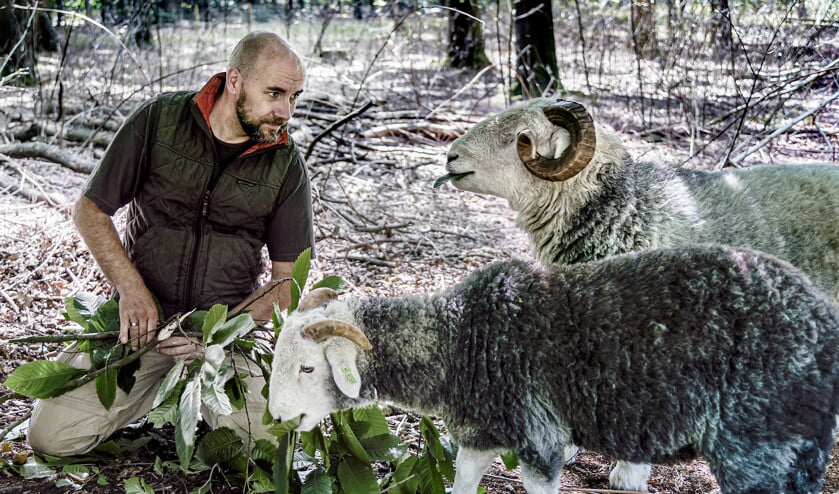 Andries Kaptijn met zijn schapen op de Oirschotse heide: ‘Ik ben van plan dit tot mijn dood te doen.’ (Granco Gori)