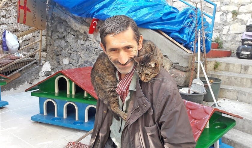 Kattenman Ali Tural komt de zwerfkatten in de wijk Cihangir elke ochtend en avond voeren. (Rob Vreeken)