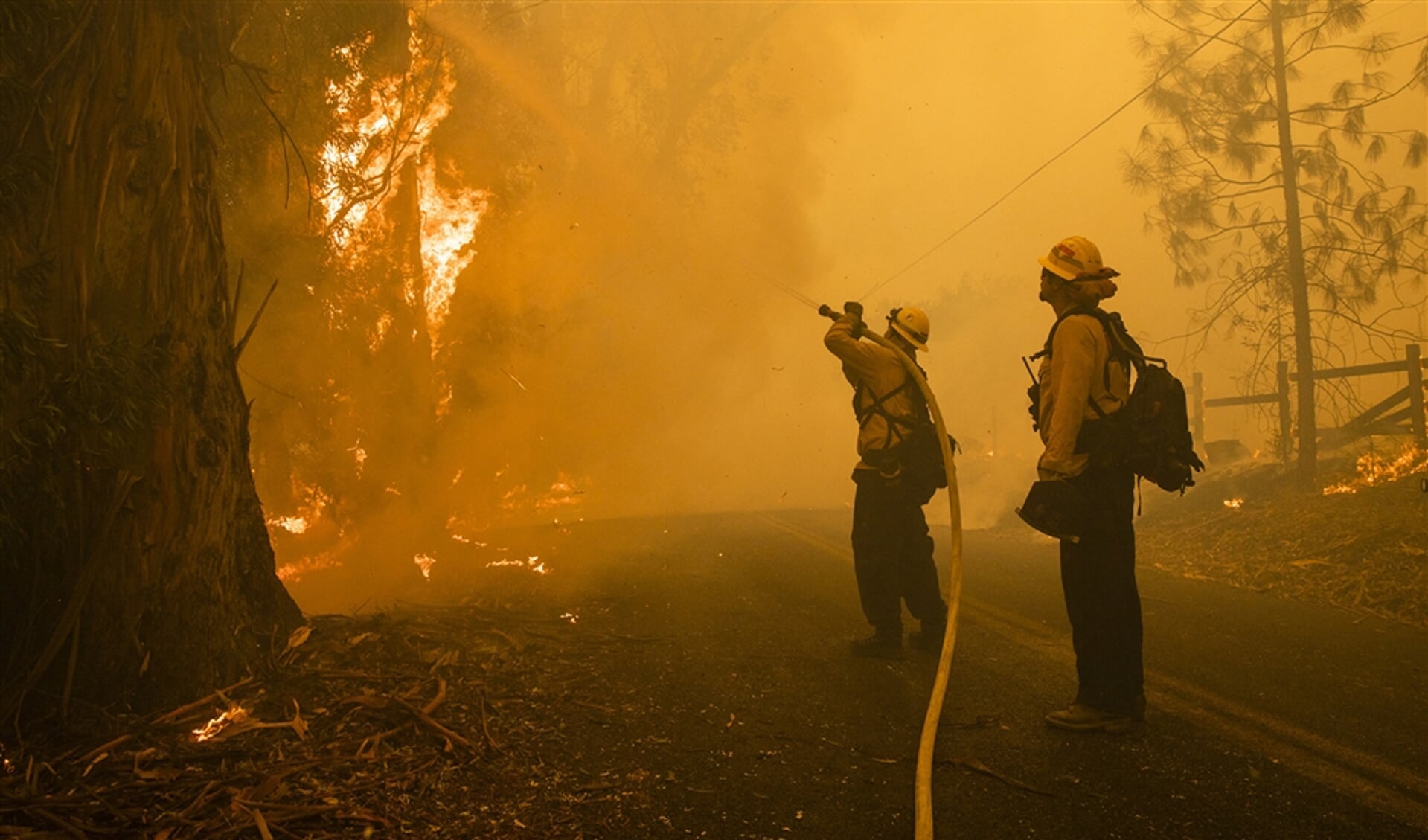 Brandweerlieden bestrijden de zogenaamde Kincade-brand in Californië. De noodtoestand is daar zondag uitgeroepen.