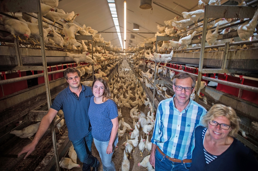 Eelco en Henrietta Jansen (links) en Herman en Belina (rechts) in hun stal met scharrelkippen. ‘Wij dachten erover het bedrijf helemaal aan Eelco en Henrietta over te dragen’, zegt Herman. ‘Het is nu maar de vraag of dat nog kan.’ (Carel Schutte en nd)