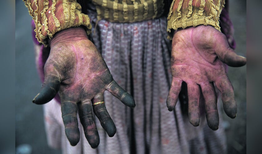 Dagloner Victoria Apasa, 72 oud, laat haar handen zien: zwart en modderig van het oogsten van tomaten in de Tambovallei in Arequipa, Peru. Eeuwenlang zegende de Rooms-Katholieke Kerk in Peru de rijken. (ap / Rodrigo Abd)