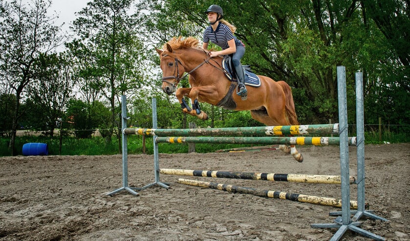 Lisanne Dam wil Nederlands kampioen springruiters worden: 'Je hebt altijd een kans' (Duncan Wijting)