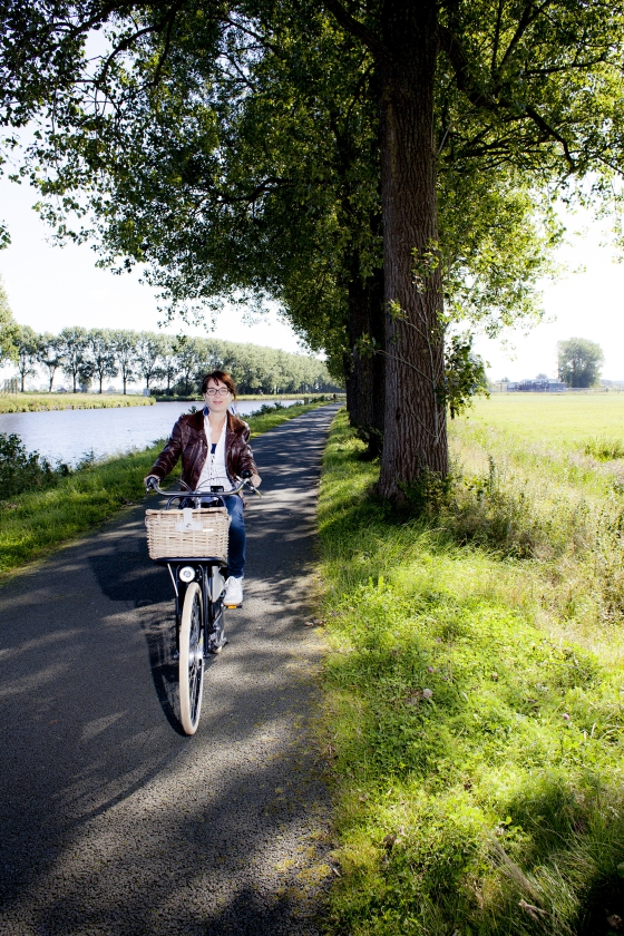 Annemarie van Heijningen (Dick Vos)
