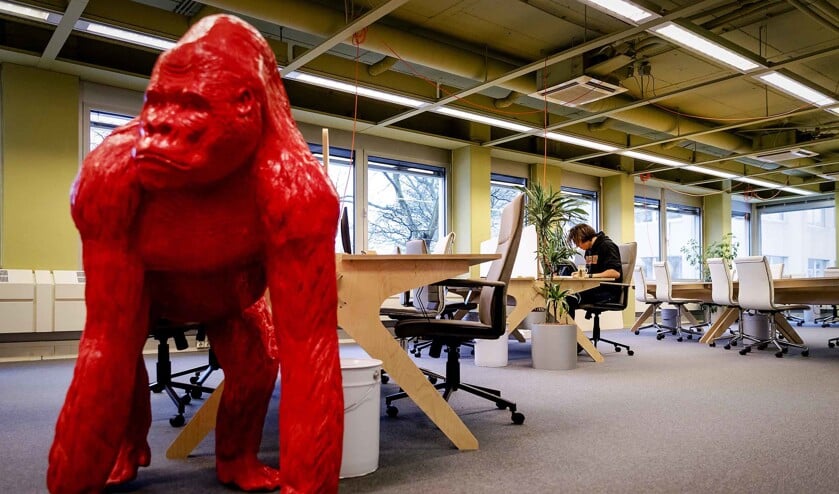 In de kantoortuin van De Stadstuin in Utrecht zijn zzp’ers aan het werk. Wie durft tegen zzp’ers en opdrachtgevers te zeggen dat de vrijheid-blijheid rond het inzetten van zzp’ers niet werkt en mensen elkaar kapotconcurreren? (anp)