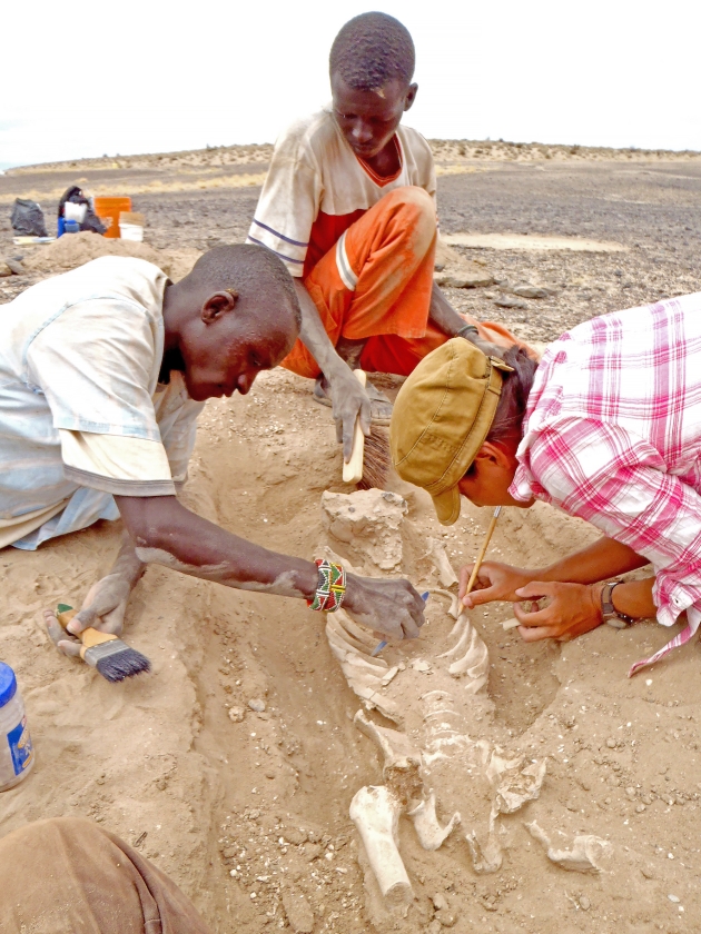 Onderzoekers buigen zich over een skelet dat is gevonden in Kenia, op een plek waar tienduizend jaar geleden een massaslachting plaatsvond. (ap)